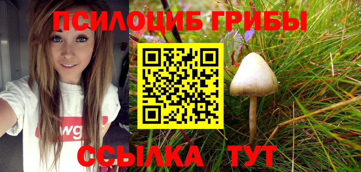 Знаменск  Псилоцибиновые грибы MAGIC MUSHROOMS  Вход с VPN  Галлюциногенные грибы Psilocybe 
