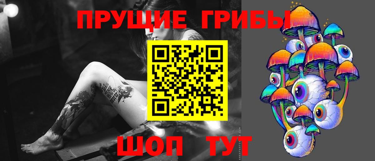 Псилоцибиновые грибы Psilocybine cubensis Знаменск